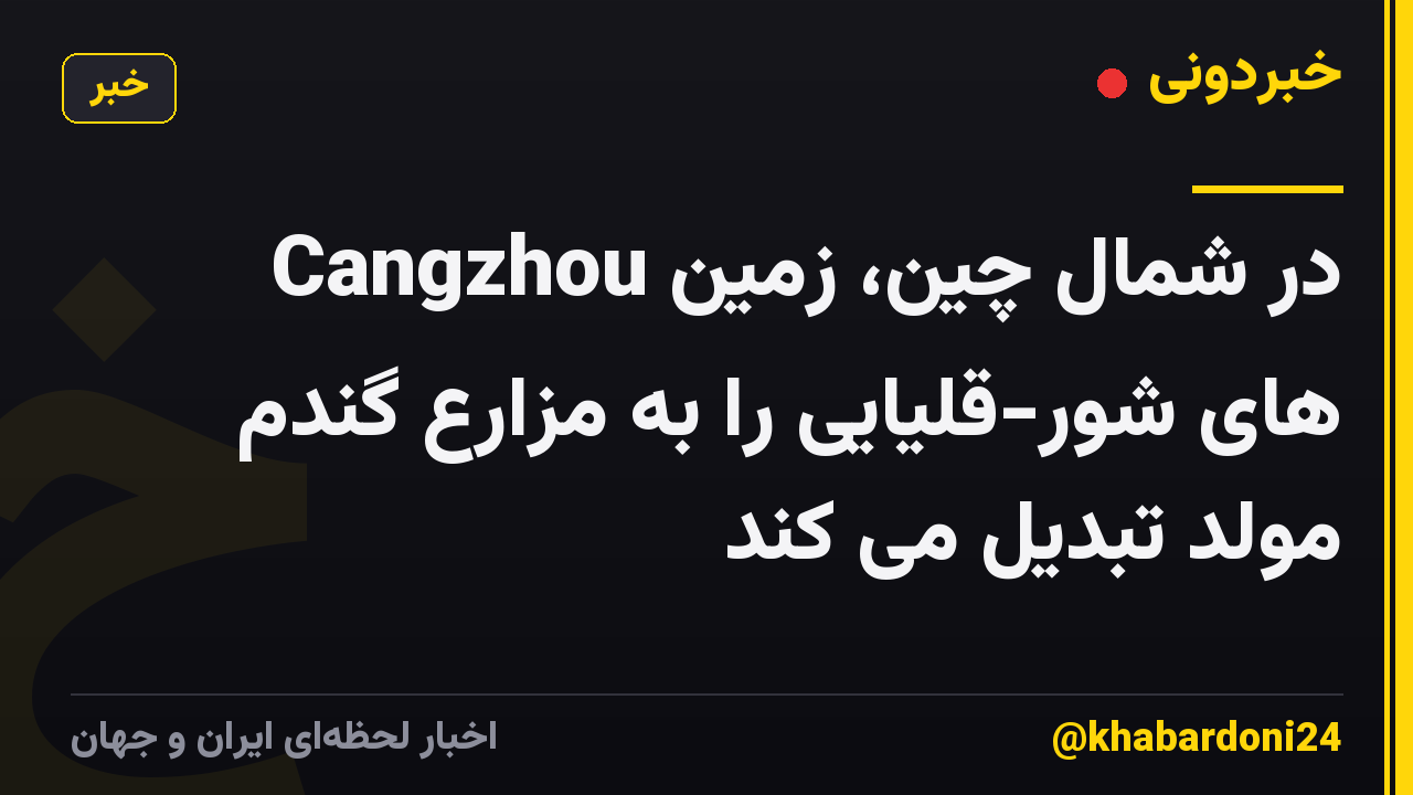 Cangzhou در شمال چین، زمین های شور-قلیایی را به مزارع گندم مولد تبدیل می کند