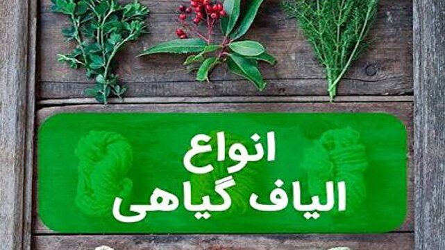 استفاده از الیاف گیاهی دستاورد جدید مرکز رشد و نوآوری دانشگاه شهرکرد