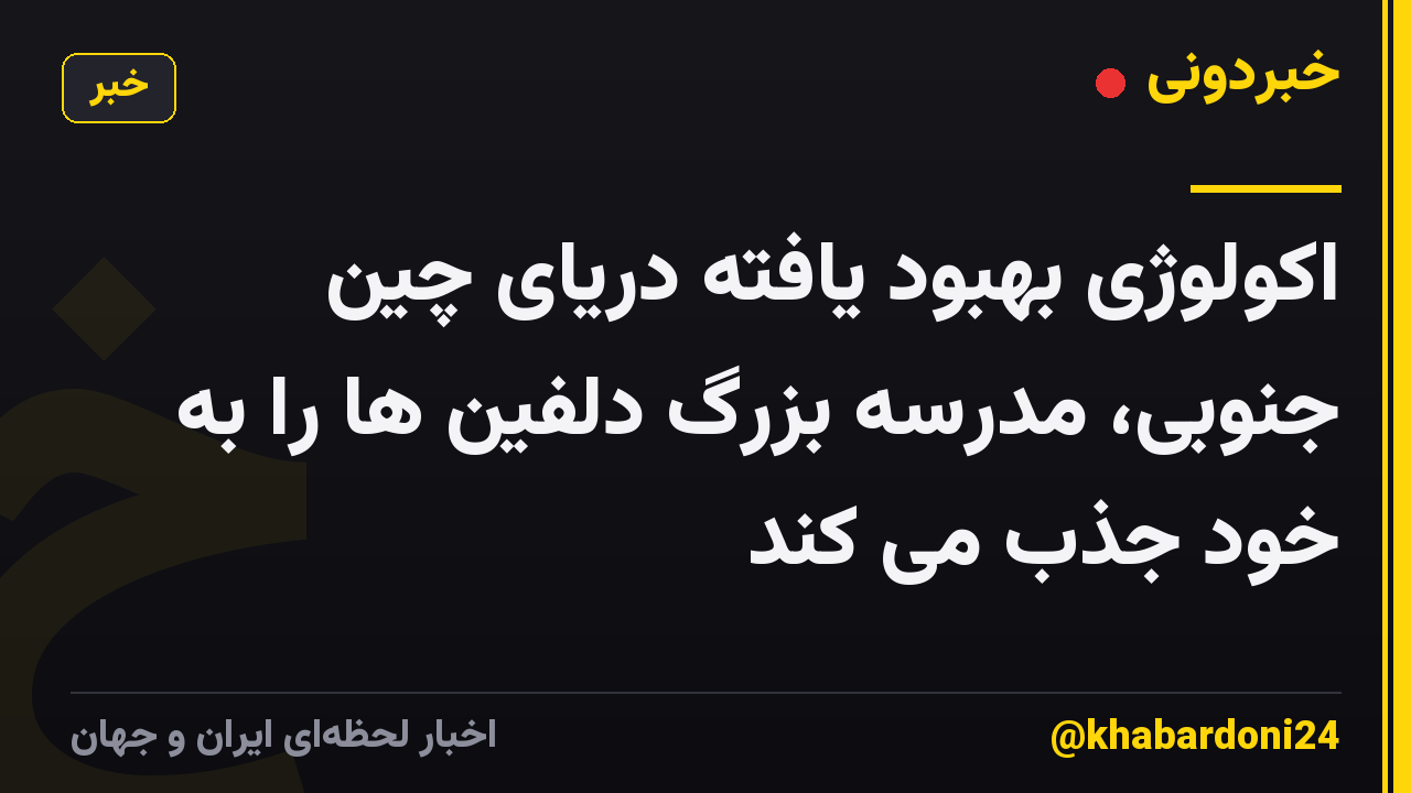 اکولوژی بهبود یافته دریای چین جنوبی، مدرسه بزرگ دلفین ها را به خود جذب می کند