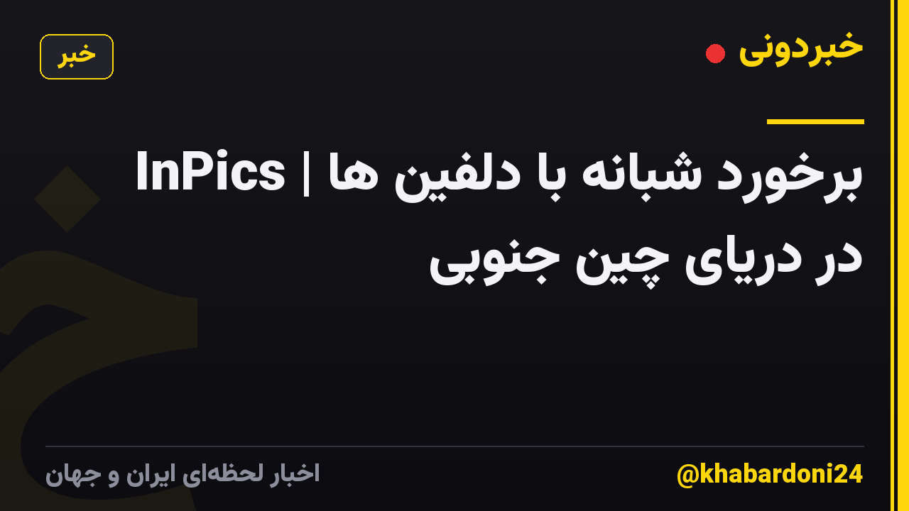 InPics | برخورد شبانه با دلفین ها در دریای چین جنوبی
