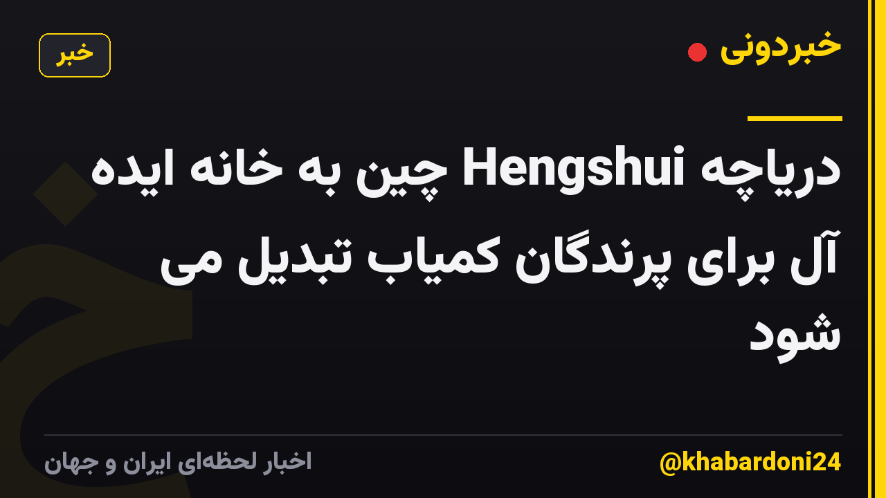 دریاچه Hengshui چین به خانه ایده آل برای پرندگان کمیاب تبدیل می شود
