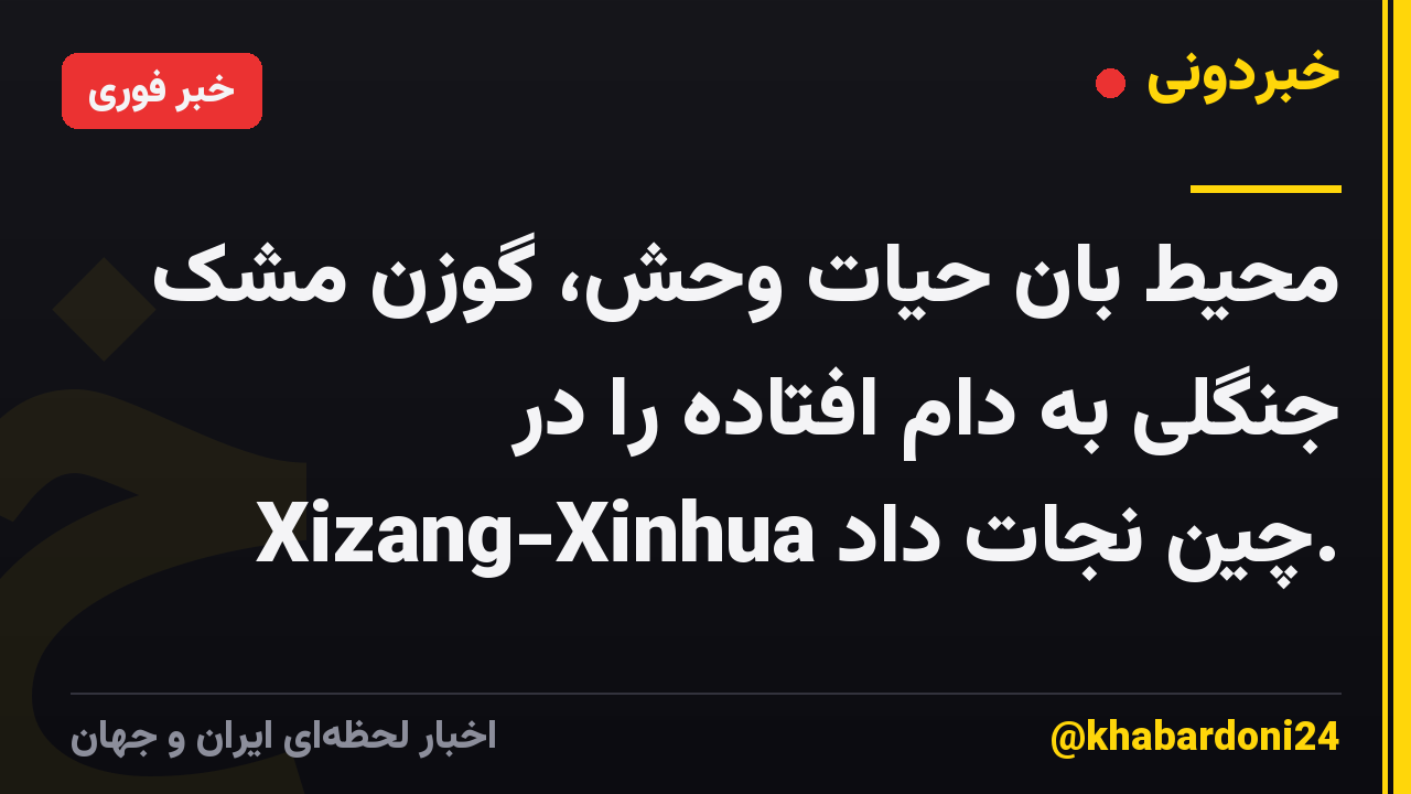 محیط بان حیات وحش، گوزن مشک جنگلی به دام افتاده را در Xizang-Xinhua چین نجات داد.