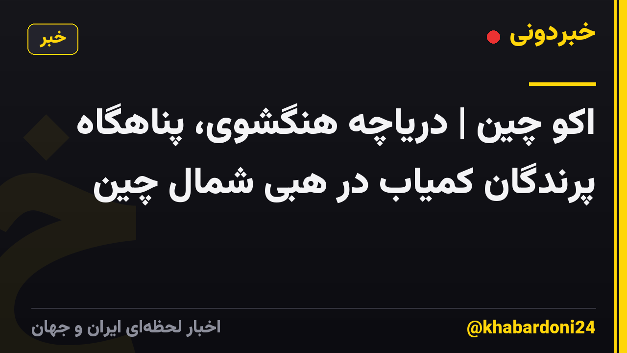 اکو چین | دریاچه هنگشوی، پناهگاه پرندگان کمیاب در هبی شمال چین