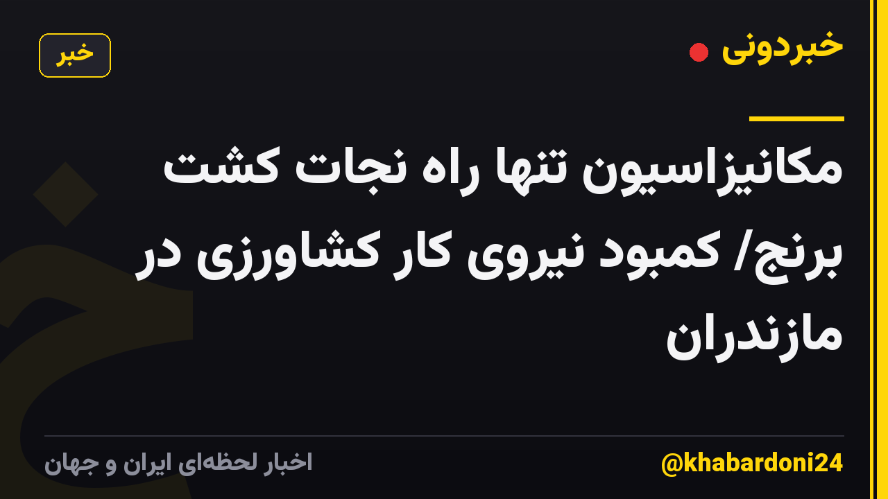 مکانیزاسیون تنها راه نجات کشت برنج/ کمبود نیروی کار کشاورزی در مازندران