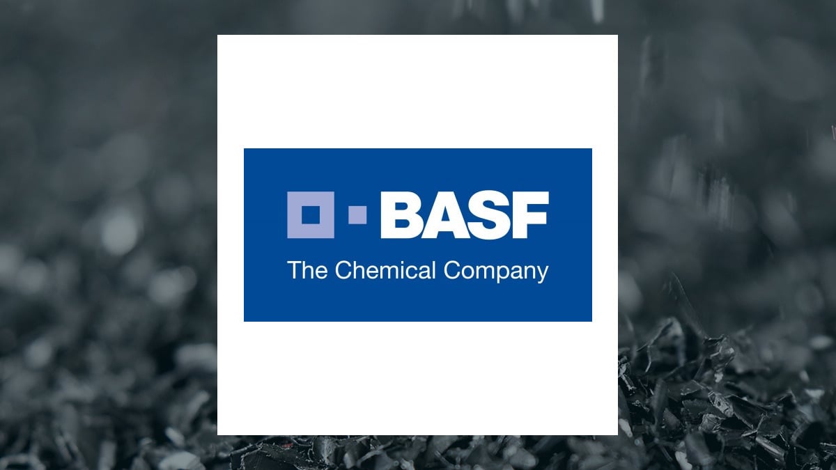 BASF روی رشد چین شرط بندی می کند زیرا سایت Zhanjiang فروش 5 میلیارد یورویی را تا سال 2030 هدف قرار می دهد.