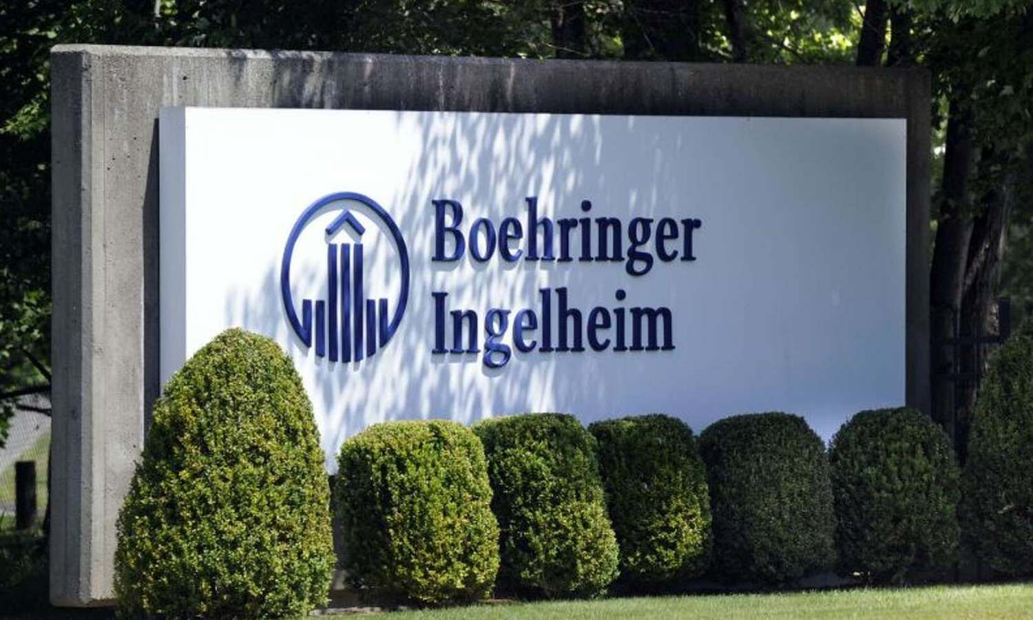 Boehringer's Survodutide چربی کبد را تا 63 درصد کاهش می دهد، وعده ای فراتر از کاهش وزن را نشان می دهد.