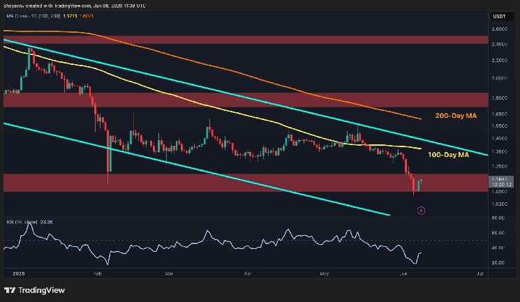 تجزیه و تحلیل قیمت ریپل: آیا XRP پس از بازیابی پشتیبانی اصلی برای بازگشت آماده است؟