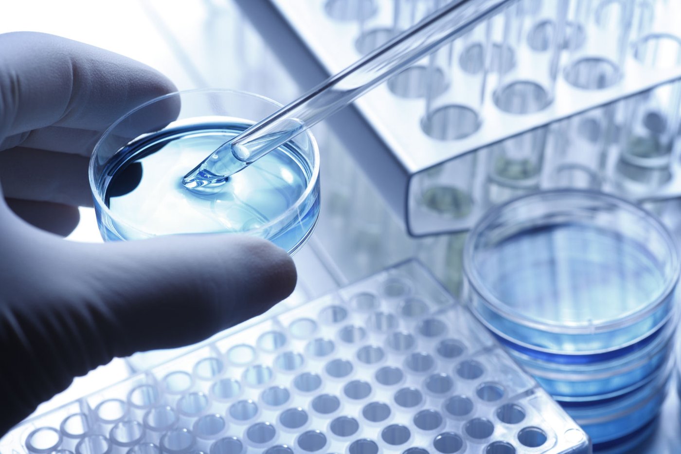 CRISPR Therapeutics دارای 2.4 میلیارد دلار پول نقد و یک داروی تایید شده است. چرا معاملات سهام آن تقریباً 40 درصد کمتر از اجماع وال استریت است؟
