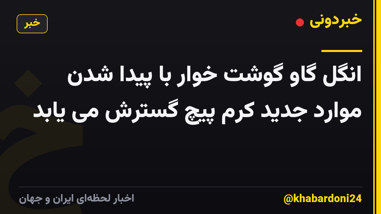 انگل گاو گوشت خوار با پیدا شدن موارد جدید کرم پیچ گسترش می یابد