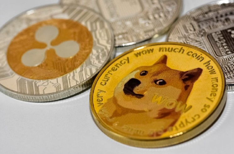 Dogecoin Notes Shibes اخیراً ساکت بوده است و سپس اینترنت آنچه را که همه در سکوت ساخته اند را نشان داد
