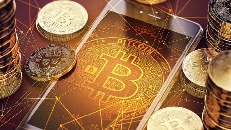 100 خزانه داری برتر بیت کوین اکنون 1.26 میلیون بیت کوین دارند