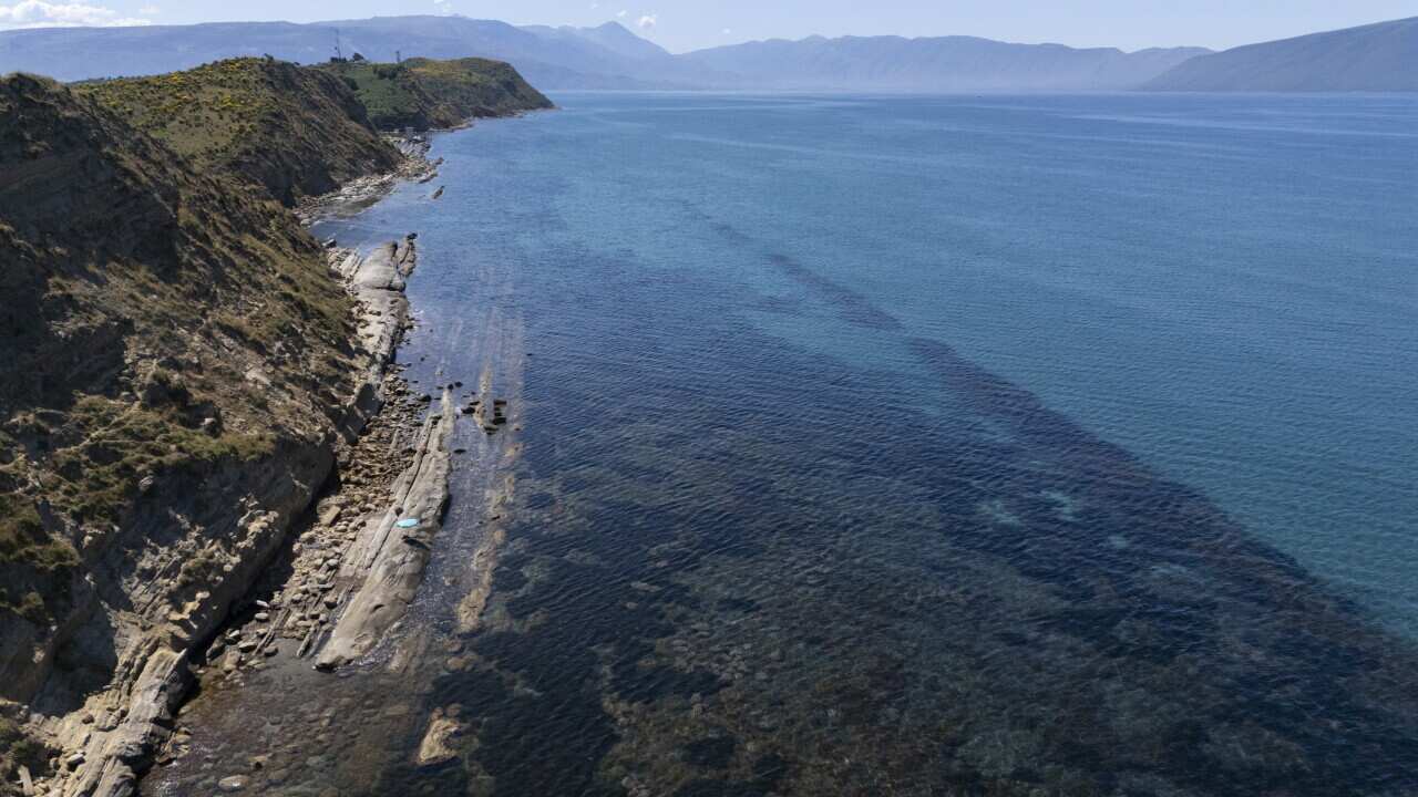 این یکی از مکان های نادر وحشی در جهان است. یک طرح مرتبط با ترامپ باعث شورش شده است