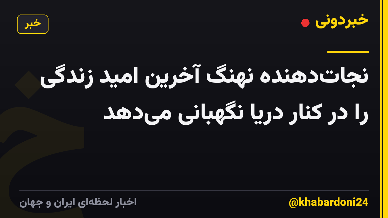 نجات‌دهنده نهنگ آخرین امید زندگی را در کنار دریا نگهبانی می‌دهد