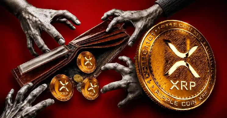XRP Ledger News: RWA ها به 5.1 میلیارد دلار رسید زیرا مدیر اجرایی Ripple رشد 100 برابری دیگر را پیش بینی کرد