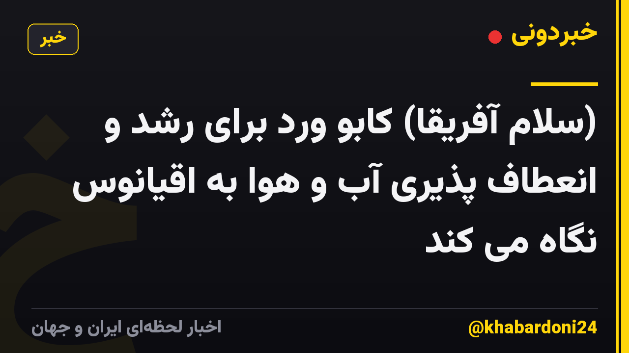 (سلام آفریقا) کابو ورد برای رشد و انعطاف پذیری آب و هوا به اقیانوس نگاه می کند