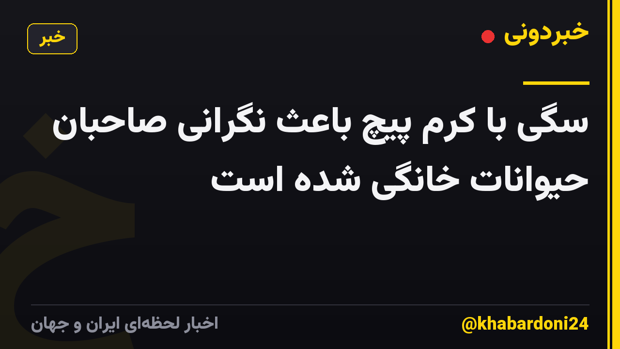 سگی با کرم پیچ باعث نگرانی صاحبان حیوانات خانگی شده است