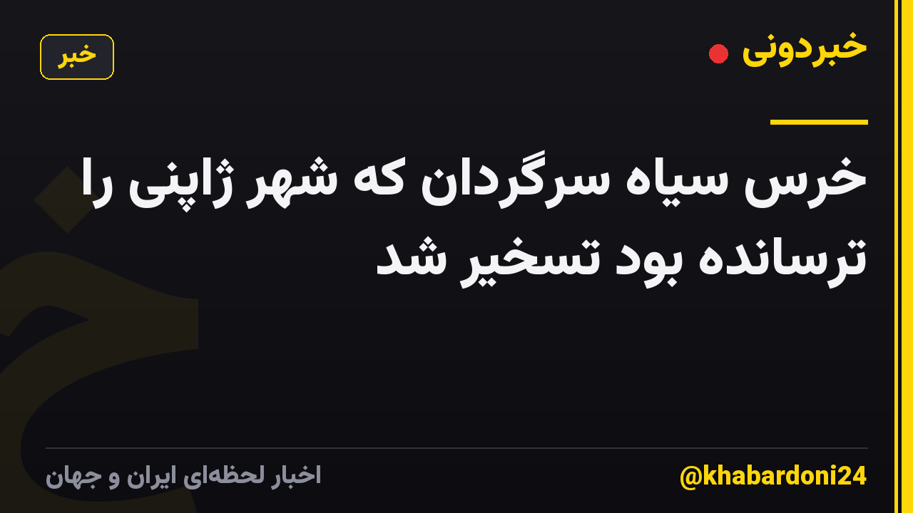 خرس سیاه سرگردان که شهر ژاپنی را ترسانده بود تسخیر شد