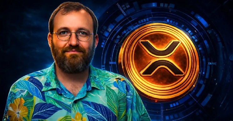 چارلز هاسکینسون می گوید که Ripple برای مرحله بعدی رشد XRP به نیمه شب نیاز دارد