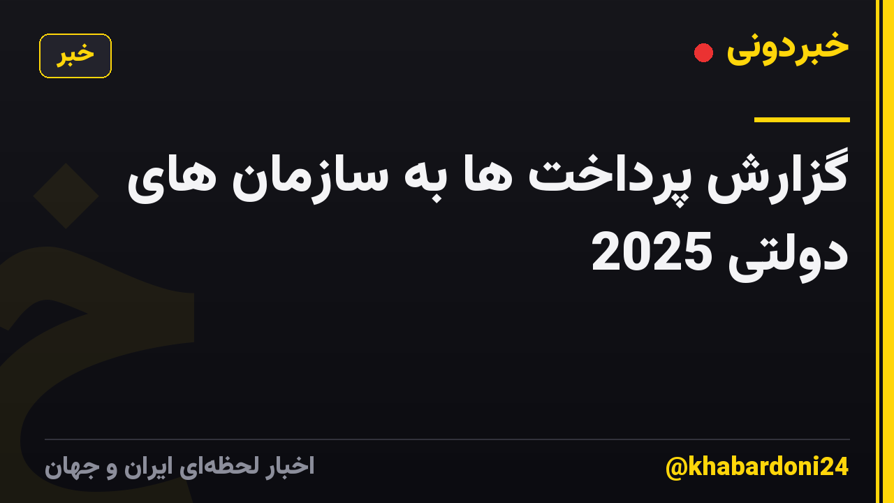 گزارش پرداخت ها به سازمان های دولتی 2025