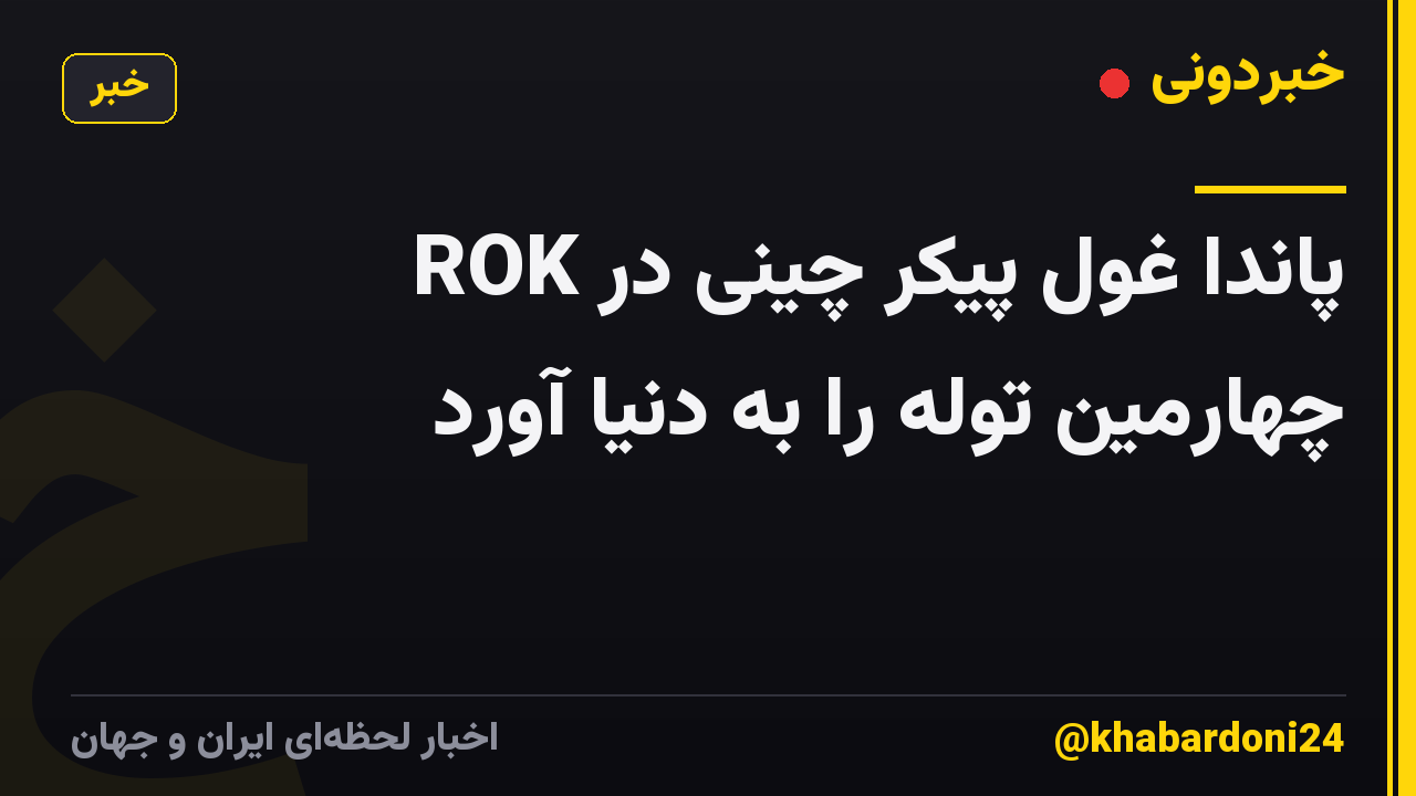 پاندا غول پیکر چینی در ROK چهارمین توله را به دنیا آورد