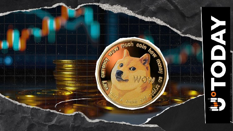 '1 DOGE = 1 DOGE': مدیر Dogecoin می گوید در میان افت بازار چه چیزی واقعاً مهم است