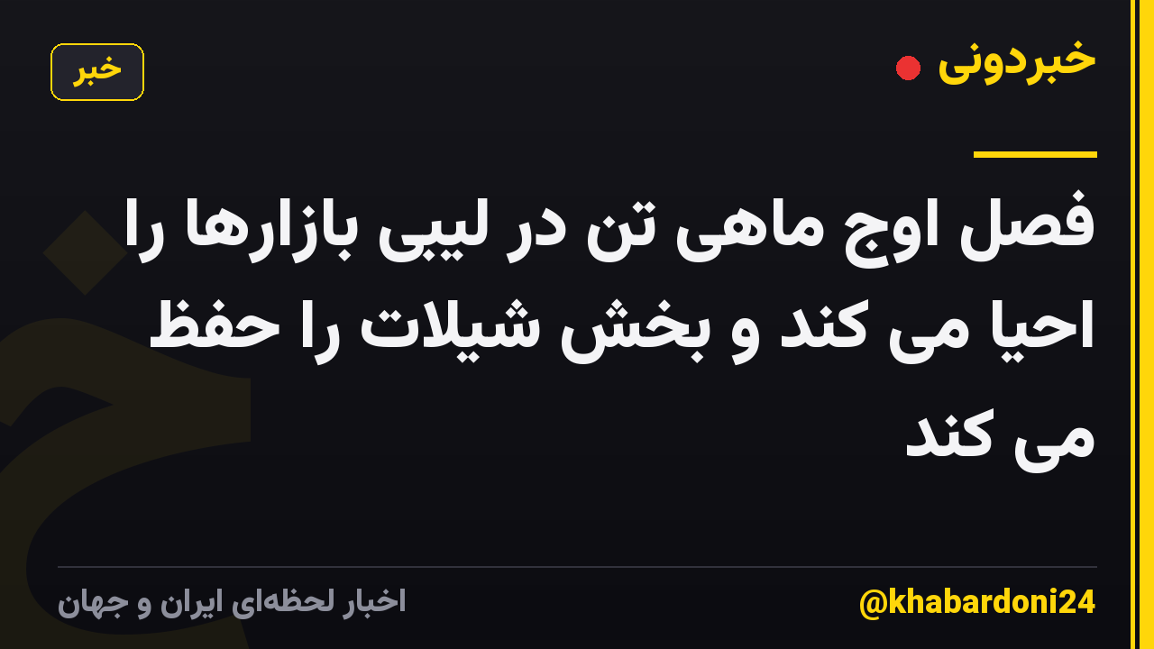 فصل اوج ماهی تن در لیبی بازارها را احیا می کند و بخش شیلات را حفظ می کند
