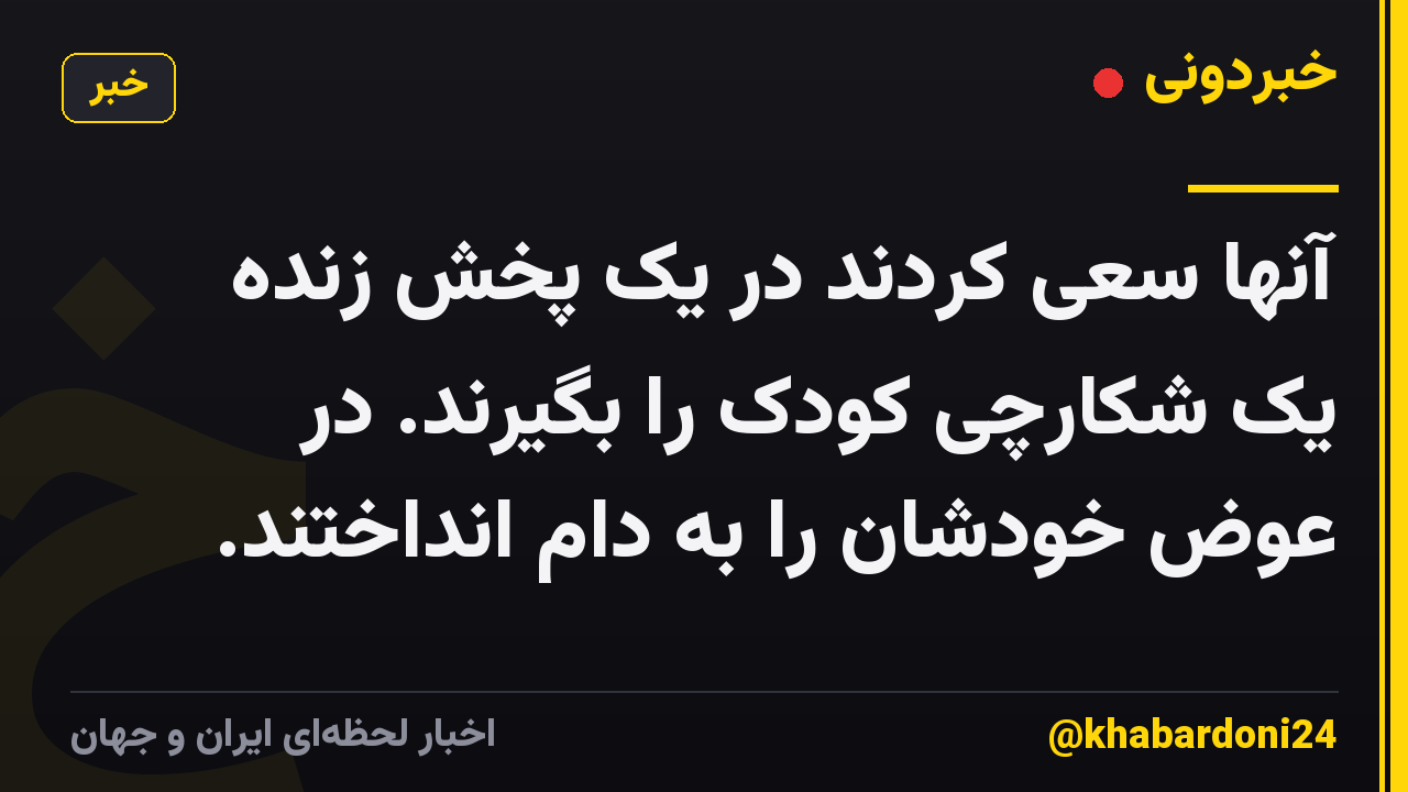 آنها سعی کردند در یک پخش زنده یک شکارچی کودک را بگیرند. در عوض خودشان را به دام انداختند.