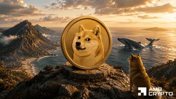 نهنگ‌های دوج کوین 240 میلیون DOGE را در یک هفته می‌خرند - آیا بالاخره کف آن شکل گرفته است؟