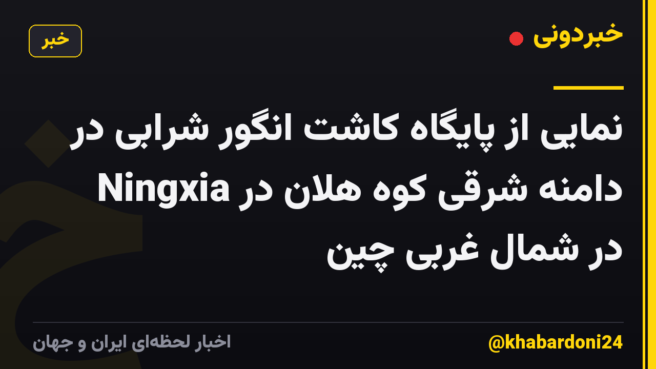 نمایی از پایگاه کاشت انگور شرابی در دامنه شرقی کوه هلان در Ningxia در شمال غربی چین