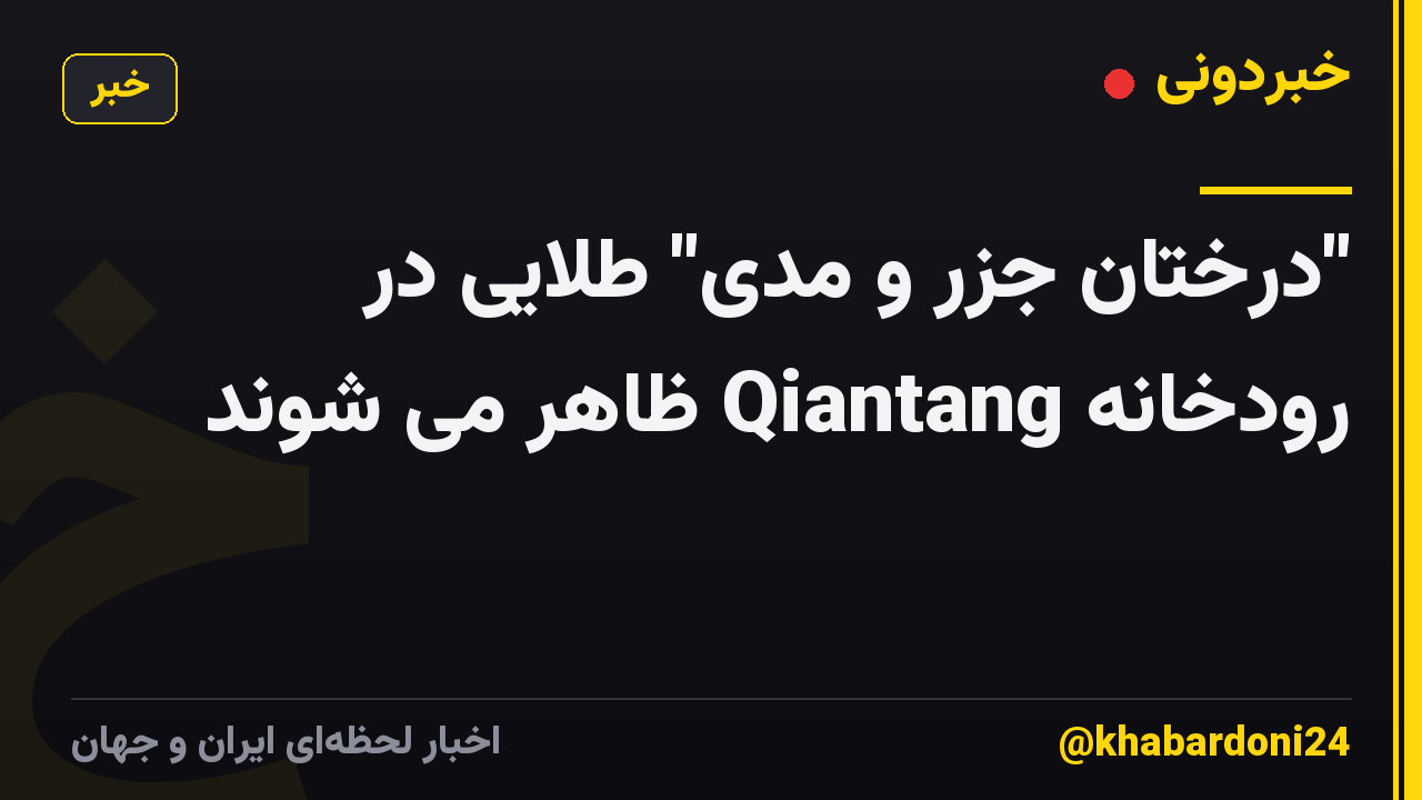 "درختان جزر و مدی" طلایی در رودخانه Qiantang ظاهر می شوند