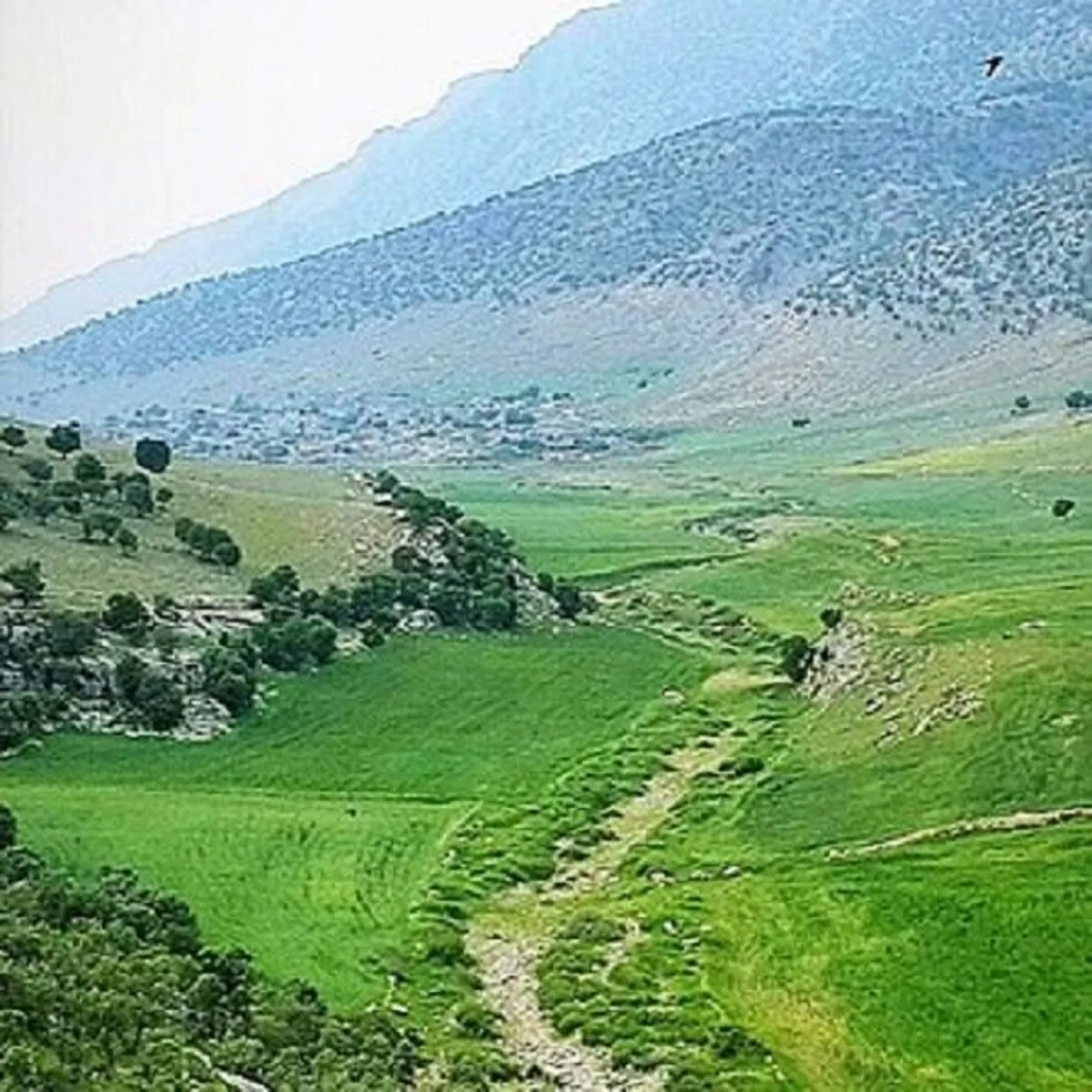 سفری به هشت بهشت طبیعی در یک روستا در آسمانآباد چرداول(+عکس)