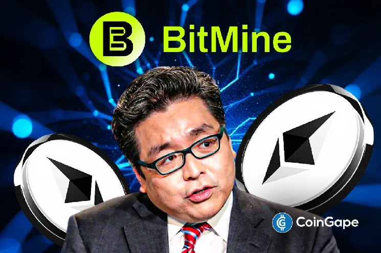 تام لی به Bitmine اشاره می کند که در حال توقف تجمع اتریوم خود است