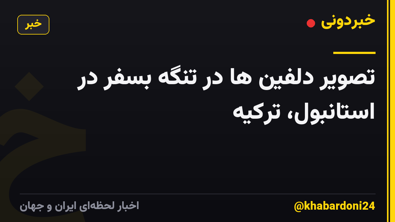تصویر دلفین ها در تنگه بسفر در استانبول، ترکیه
