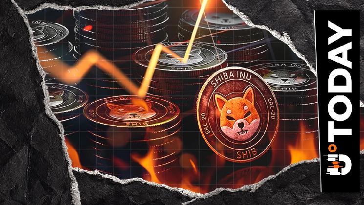 فقط 4 دلار در SHIB سوخته: پشت 72 درصد افت چیست؟