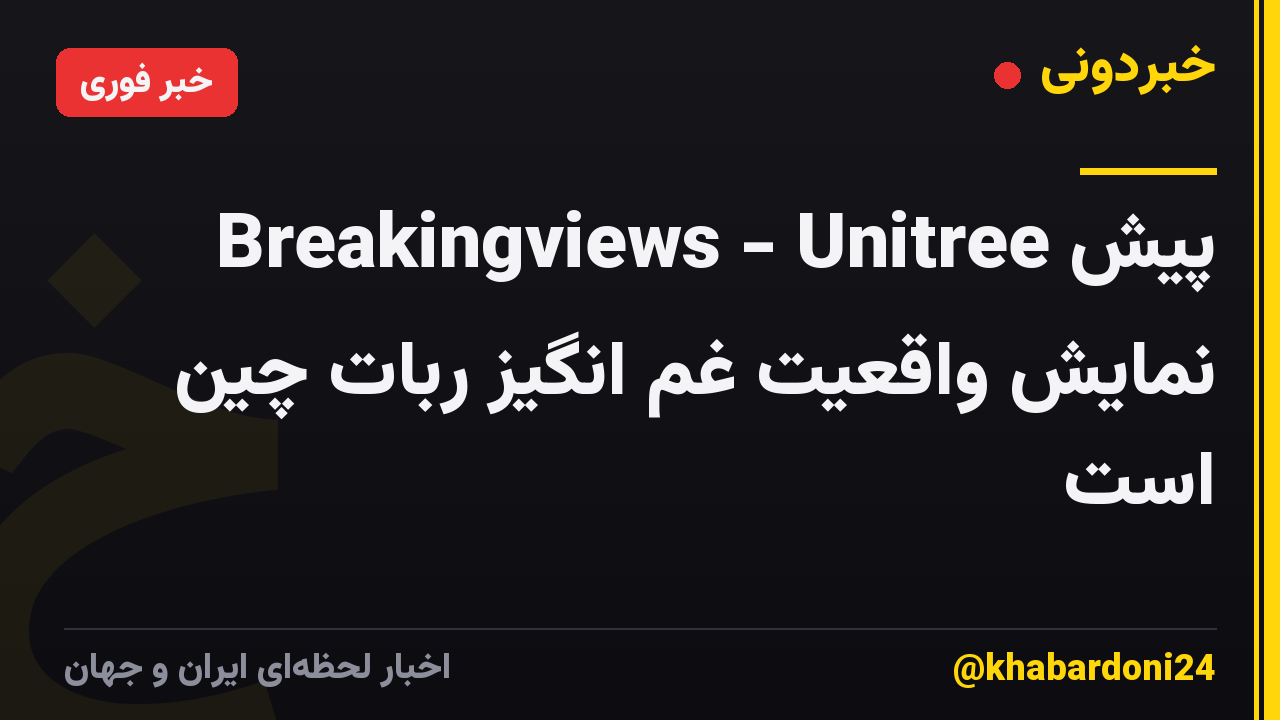 Breakingviews - Unitree پیش نمایش واقعیت غم انگیز ربات چین است