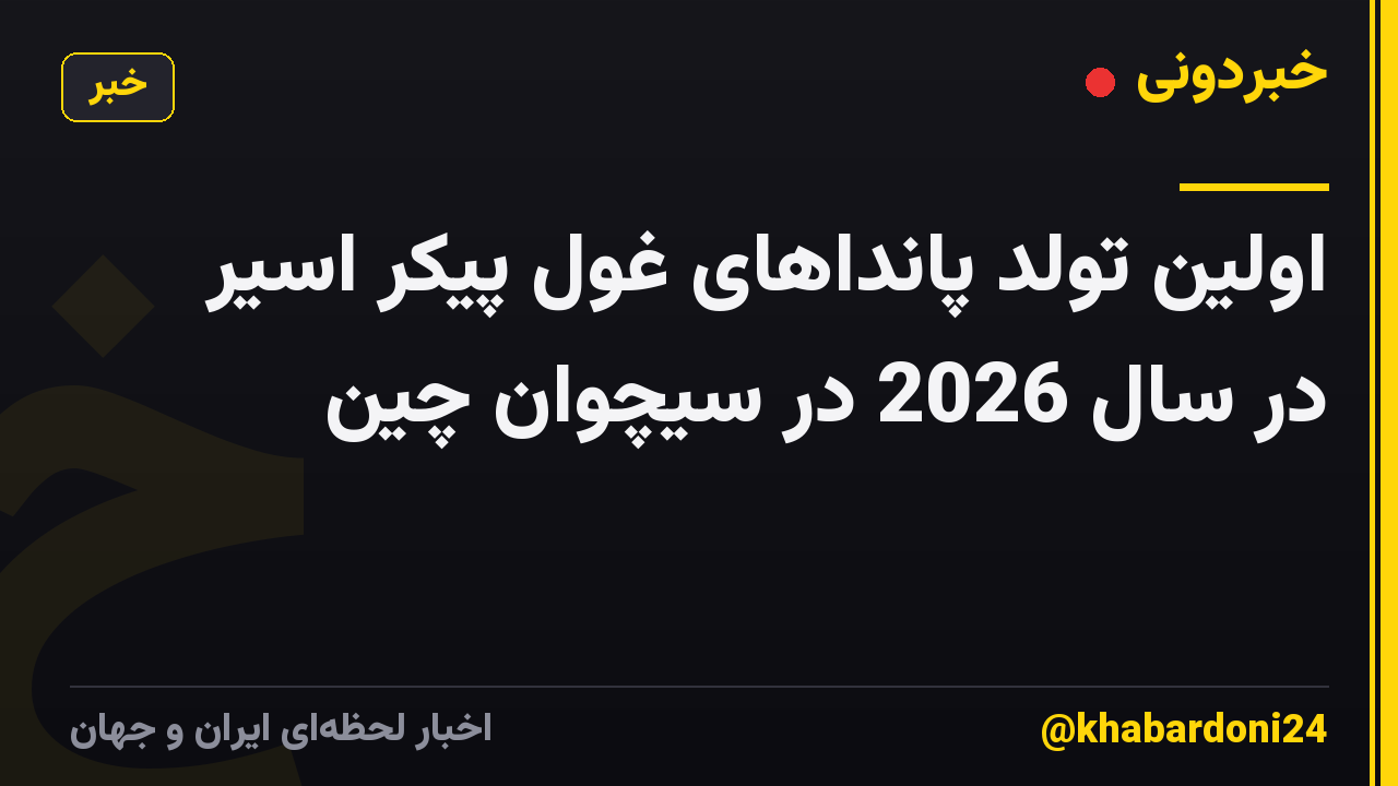 اولین تولد پانداهای غول پیکر اسیر در سال 2026 در سیچوان چین