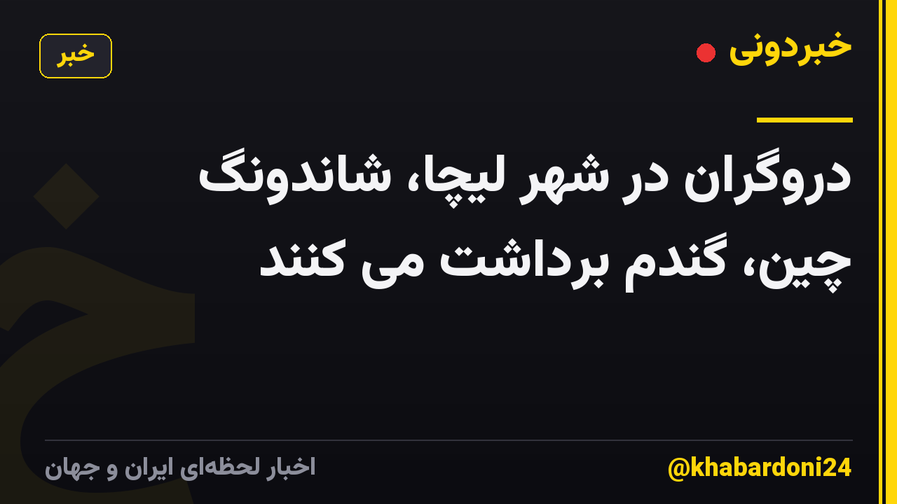 دروگران در شهر لیچا، شاندونگ چین، گندم برداشت می کنند