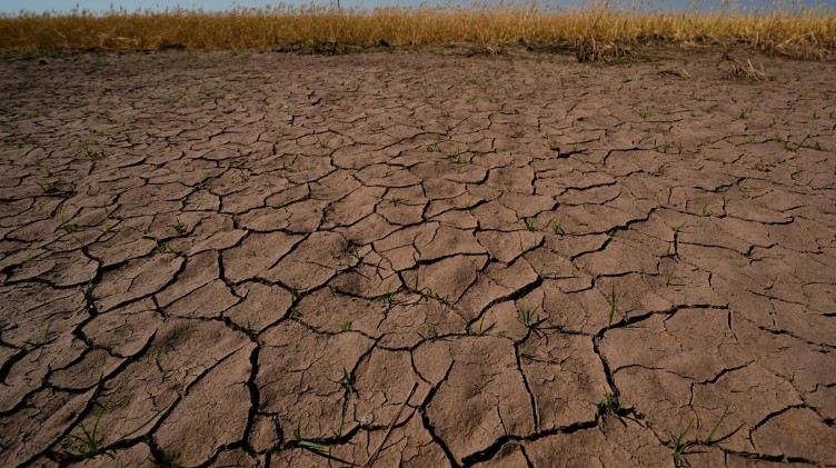 شرایط ال نینو در حال حاضر بر روی اقیانوس آرام استوایی وجود دارد: IMD