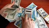 سیاست ارز ترجیحی با چه چالشهایی روبهرو بوده است؟ + فیلم