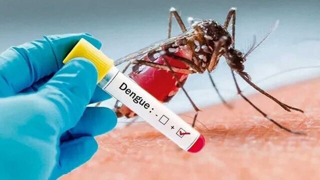 آنچه باید درباره تب دنگی بدانید