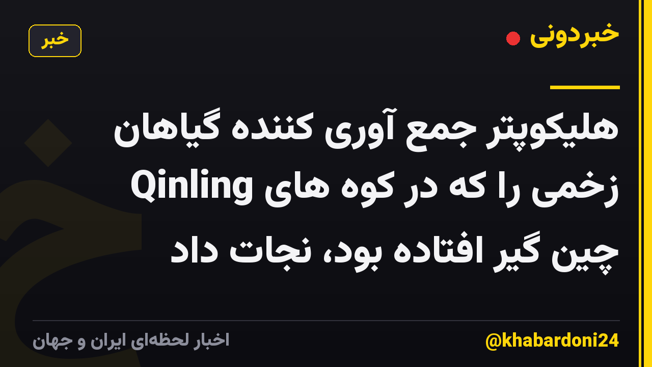 هلیکوپتر جمع آوری کننده گیاهان زخمی را که در کوه های Qinling چین گیر افتاده بود، نجات داد