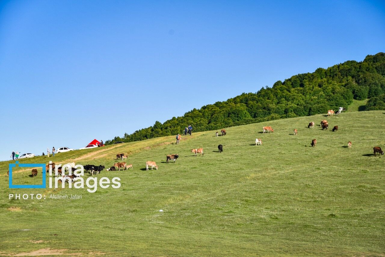 آسمان گیلان صاف و آفتابی است