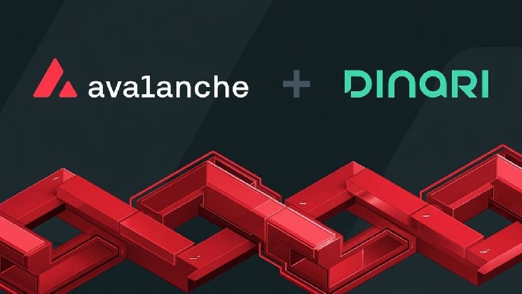 Avalanche دسترسی به SpaceX، ETFs و سهام ایالات متحده را از طریق Dinari اضافه می کند