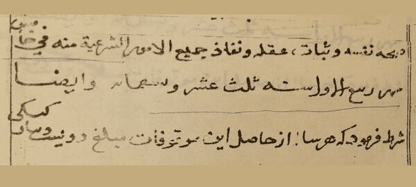قدیمیترین وقفنامه جهان اسلام در طبس کشف شد