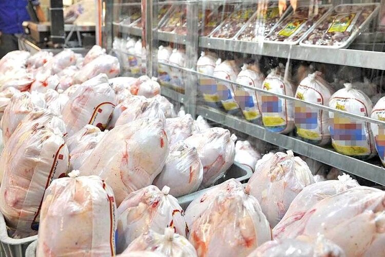 تزریق ۳۳۰ تن گوشت مرغ طرح قراردادی به بازار خراسان شمالی