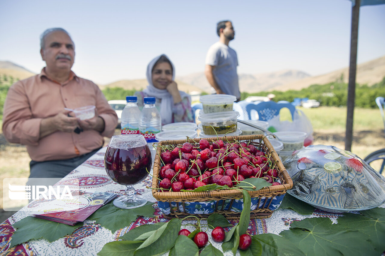 جشن گیلاس در فشند؛ شکرانه سال پرمحصول در البرز