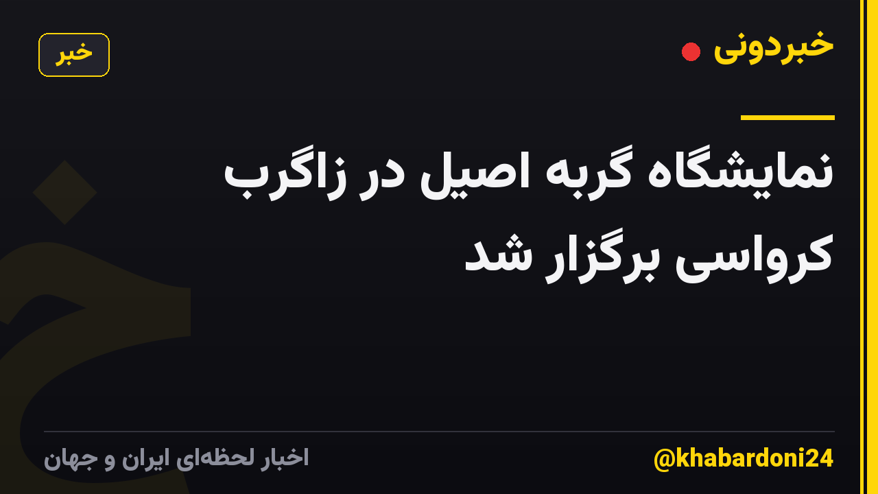 نمایشگاه گربه اصیل در زاگرب کرواسی برگزار شد