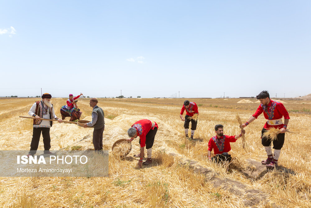 آیین جشن خرمن - روستای شفیع آباد نیشابور