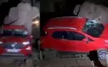 فیل در جستجوی انبه یک خودرو را واژگون کرد