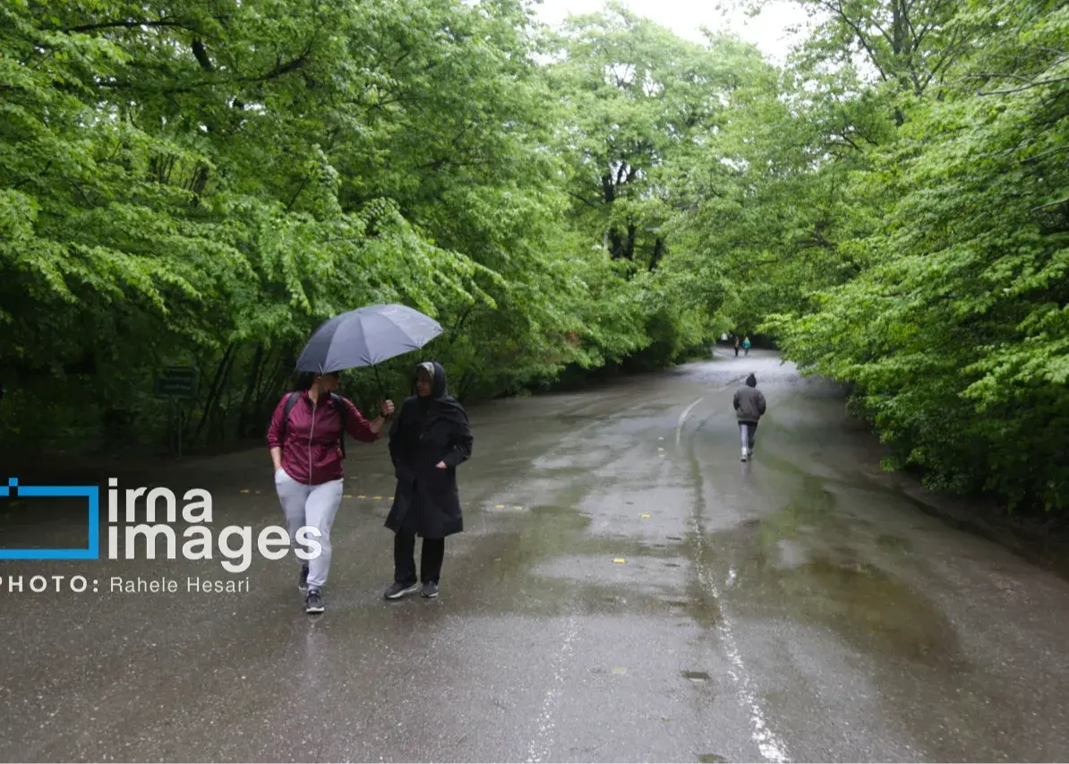 رگبار و رعدوبرق در ۸ استان نوار شمالی کشور